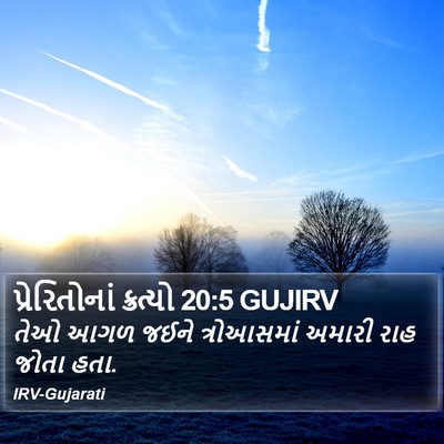 પ્રેરિતોનાં ક્રત્યો 20:5 GUJIRV Bible Verse Image