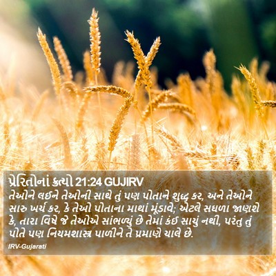 પ્રેરિતોનાં ક્રત્યો 21:24 GUJIRV Bible Verse Image