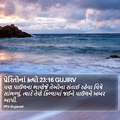 પ્રેરિતોનાં ક્રત્યો 23:16 GUJIRV Bible Verse Image