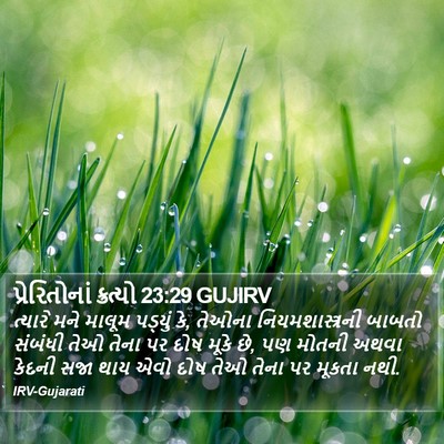પ્રેરિતોનાં ક્રત્યો 23:29 GUJIRV Bible Verse Image