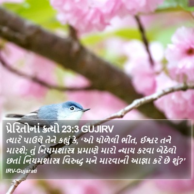 પ્રેરિતોનાં ક્રત્યો 23:3 GUJIRV Bible Verse Image