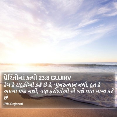 પ્રેરિતોનાં ક્રત્યો 23:8 GUJIRV Bible Verse Image