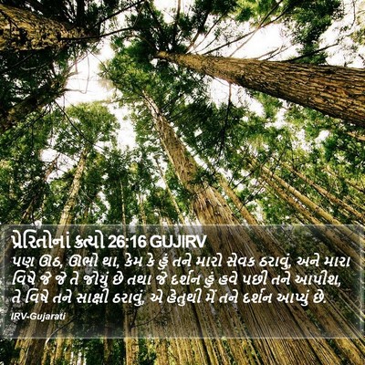 પ્રેરિતોનાં ક્રત્યો 26:16 GUJIRV Bible Verse Image