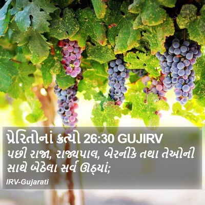 પ્રેરિતોનાં ક્રત્યો 26:30 GUJIRV Bible Verse Image