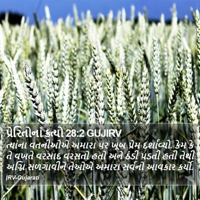 પ્રેરિતોનાં ક્રત્યો 28:2 GUJIRV Bible Verse Image