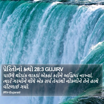 પ્રેરિતોનાં ક્રત્યો 28:3 GUJIRV Bible Verse Image
