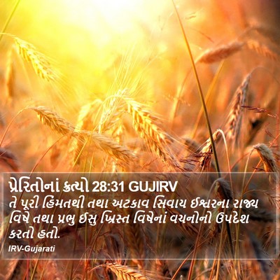 પ્રેરિતોનાં ક્રત્યો 28:31 GUJIRV Bible Verse Image