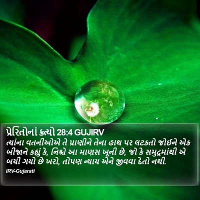 પ્રેરિતોનાં ક્રત્યો 28:4 GUJIRV Bible Verse Image
