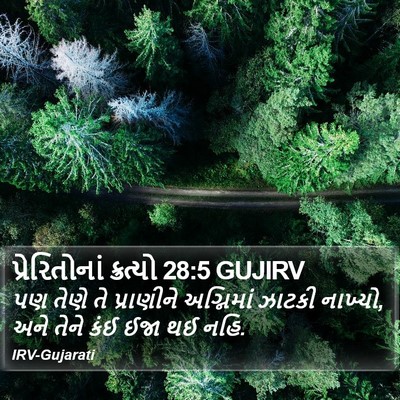 પ્રેરિતોનાં ક્રત્યો 28:5 GUJIRV Bible Verse Image
