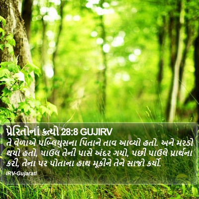 પ્રેરિતોનાં ક્રત્યો 28:8 GUJIRV Bible Verse Image
