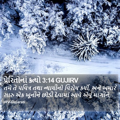 પ્રેરિતોનાં ક્રત્યો 3:14 GUJIRV Bible Verse Image