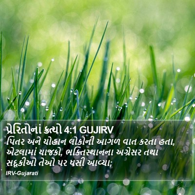 પ્રેરિતોનાં ક્રત્યો 4:1 GUJIRV Bible Verse Image