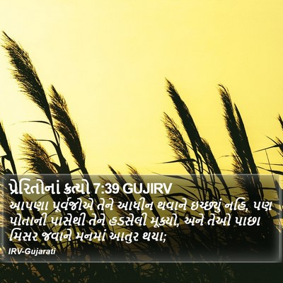 પ્રેરિતોનાં ક્રત્યો 7:39 GUJIRV Bible Verse Image