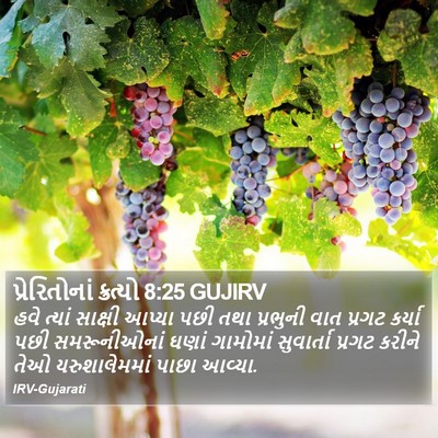 પ્રેરિતોનાં ક્રત્યો 8:25 GUJIRV Bible Verse Image