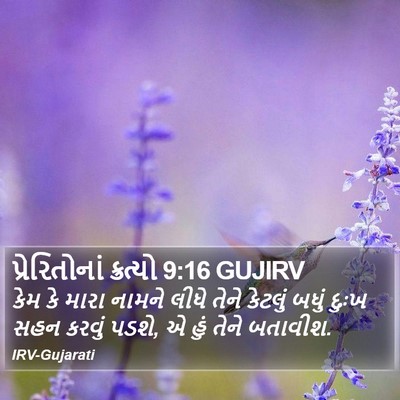 પ્રેરિતોનાં ક્રત્યો 9:16 GUJIRV Bible Verse Image