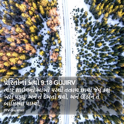 પ્રેરિતોનાં ક્રત્યો 9:18 GUJIRV Bible Verse Image