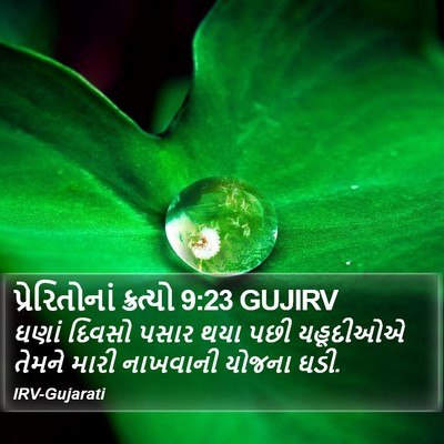 પ્રેરિતોનાં ક્રત્યો 9:23 GUJIRV Bible Verse Image