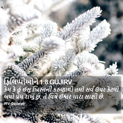 ફિલિપ્પીઓને 1:8 GUJIRV Bible Verse Image