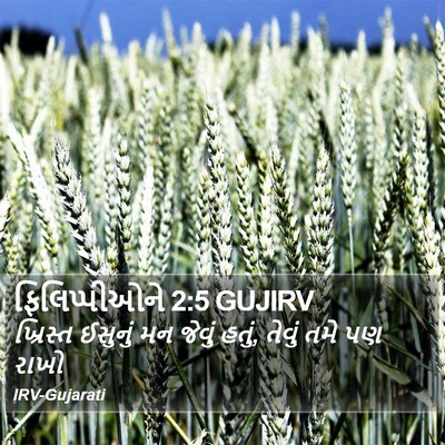 ફિલિપ્પીઓને 2:5 GUJIRV Bible Verse Image