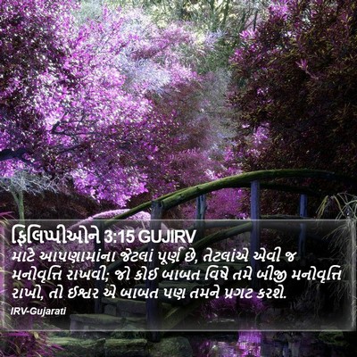 ફિલિપ્પીઓને 3:15 GUJIRV Bible Verse Image