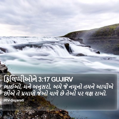 ફિલિપ્પીઓને 3:17 GUJIRV Bible Verse Image