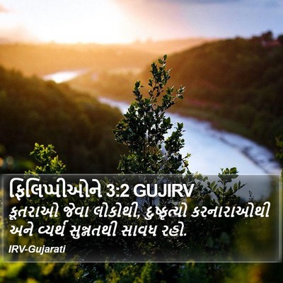 ફિલિપ્પીઓને 3:2 GUJIRV Bible Verse Image