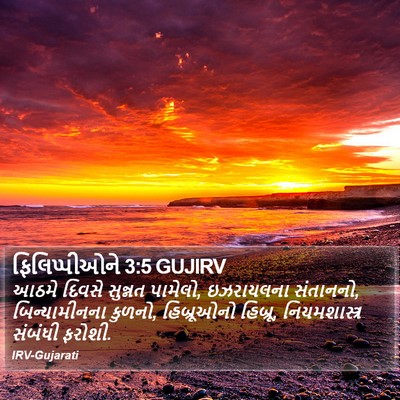 ફિલિપ્પીઓને 3:5 GUJIRV Bible Verse Image