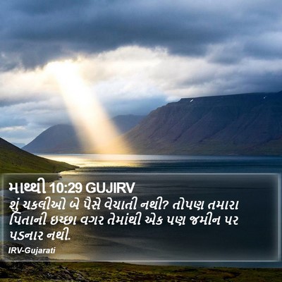 માથ્થી 10:29 GUJIRV Bible Verse Image