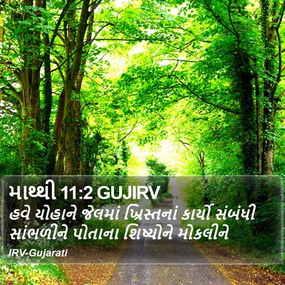 માથ્થી 11:2 GUJIRV Bible Verse Image