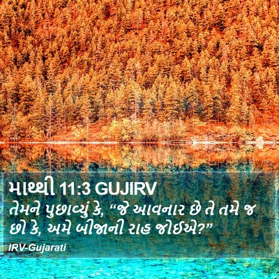 માથ્થી 11:3 GUJIRV Bible Verse Image