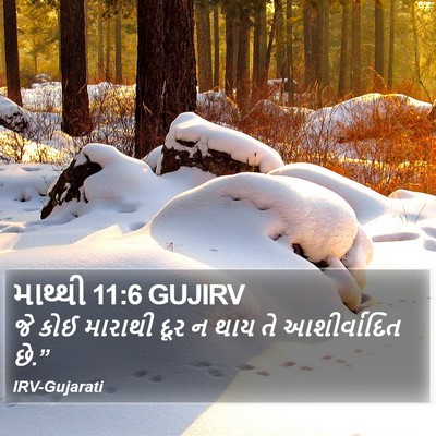 માથ્થી 11:6 GUJIRV Bible Verse Image