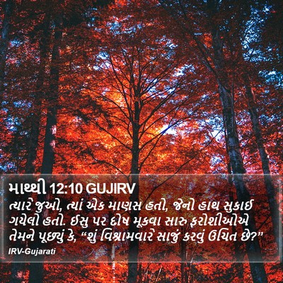 માથ્થી 12:10 GUJIRV Bible Verse Image