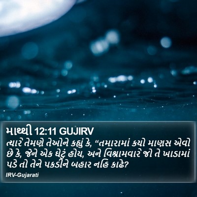 માથ્થી 12:11 GUJIRV Bible Verse Image