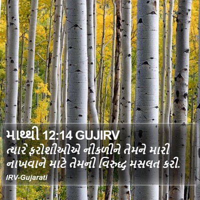 માથ્થી 12:14 GUJIRV Bible Verse Image