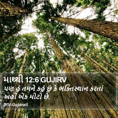 માથ્થી 12:6 GUJIRV Bible Verse Image