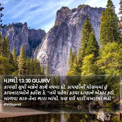માથ્થી 13:30 GUJIRV Bible Verse Image