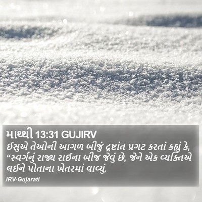 માથ્થી 13:31 GUJIRV Bible Verse Image