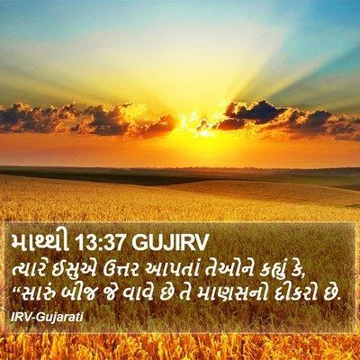 માથ્થી 13:37 GUJIRV Bible Verse Image