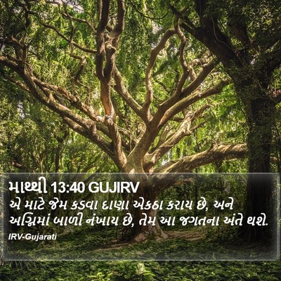 માથ્થી 13:40 GUJIRV Bible Verse Image