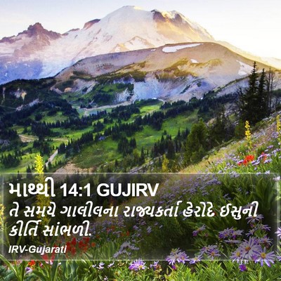 માથ્થી 14:1 GUJIRV Bible Verse Image