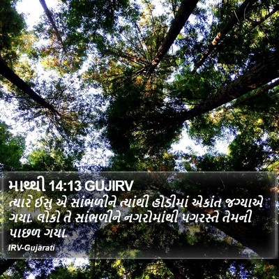 માથ્થી 14:13 GUJIRV Bible Verse Image