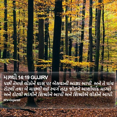 માથ્થી 14:19 GUJIRV Bible Verse Image