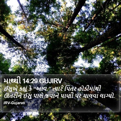 માથ્થી 14:29 GUJIRV Bible Verse Image