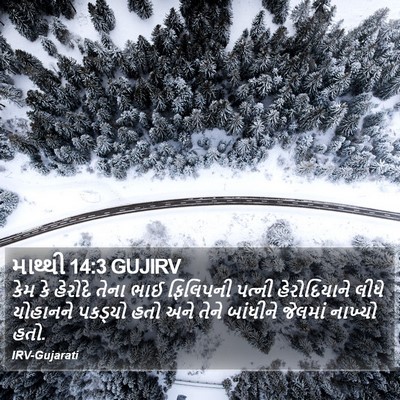 માથ્થી 14:3 GUJIRV Bible Verse Image