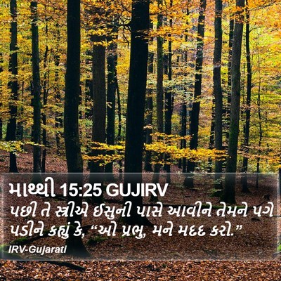 માથ્થી 15:25 GUJIRV Bible Verse Image