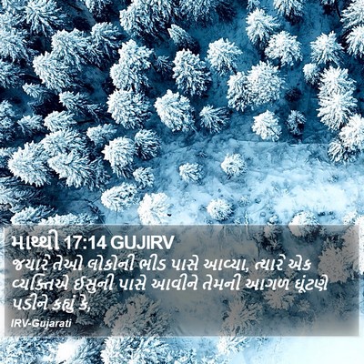 માથ્થી 17:14 GUJIRV Bible Verse Image