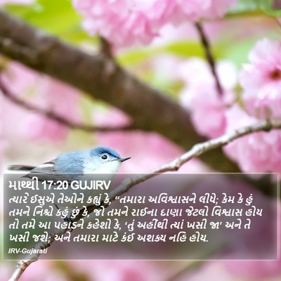 માથ્થી 17:20 GUJIRV Bible Verse Image