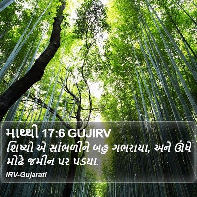 માથ્થી 17:6 GUJIRV Bible Verse Image