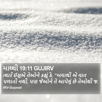 માથ્થી 19:11 GUJIRV Bible Verse Image