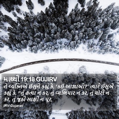 માથ્થી 19:18 GUJIRV Bible Verse Image